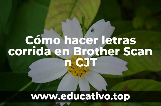 Cómo hacer letras corrida en Brother Scan n CJT