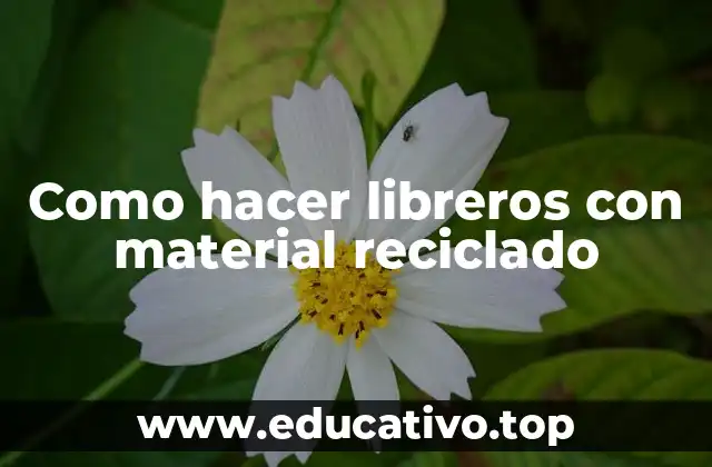 Como hacer libreros con material reciclado: una forma de reducir, reutilizar y reciclar