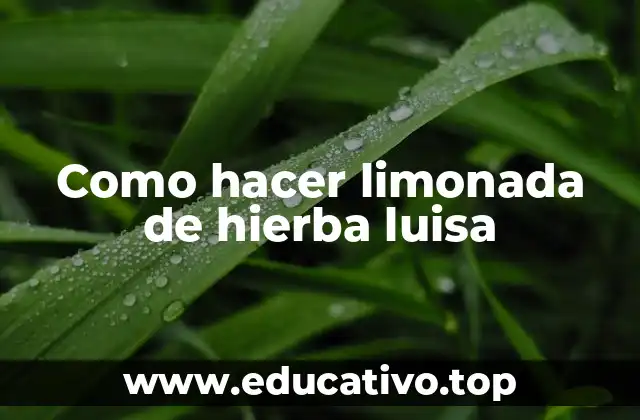 Como hacer limonada de hierba luisa