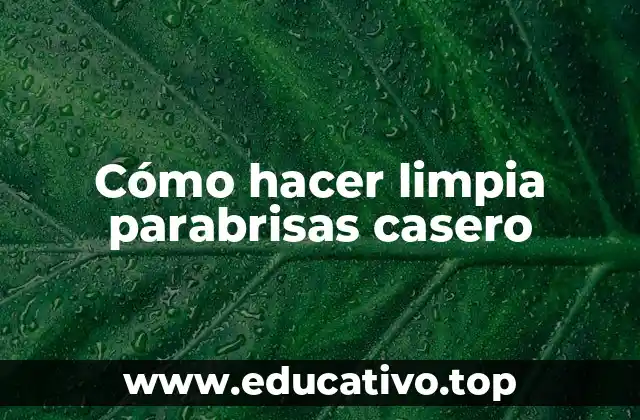 Cómo hacer limpia parabrisas casero