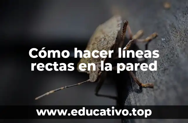 Cómo hacer líneas rectas en la pared