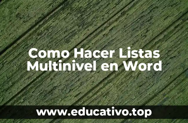 Como Hacer Listas Multinivel en Word