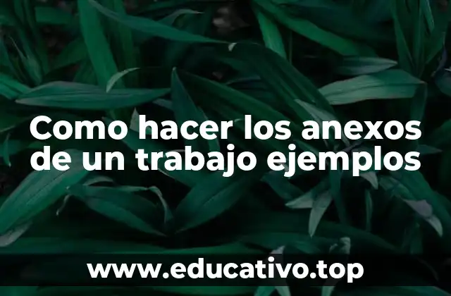 Como hacer los anexos de un trabajo ejemplos