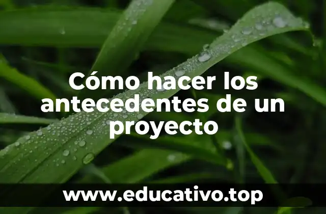Cómo hacer los antecedentes de un proyecto