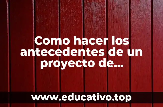 Como hacer los antecedentes de un proyecto de emprendimiento