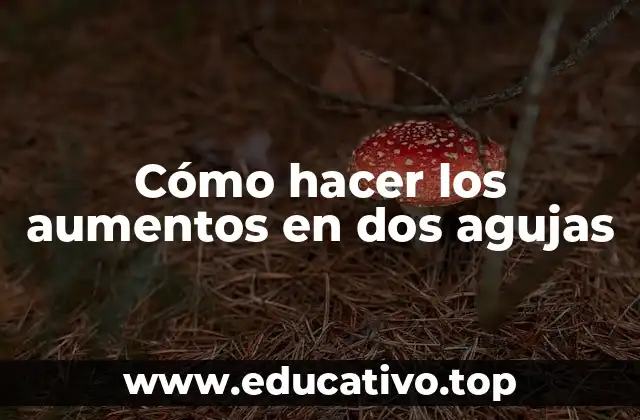 Cómo hacer los aumentos en dos agujas