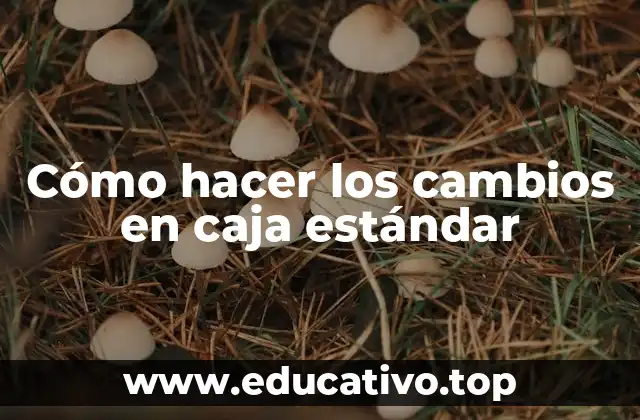 Cómo hacer los cambios en caja estándar