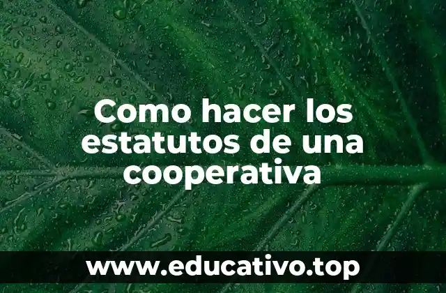Como hacer los estatutos de una cooperativa