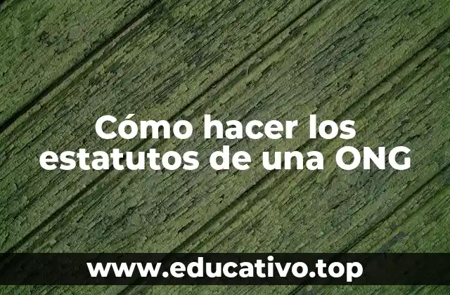 Cómo hacer los estatutos de una ONG