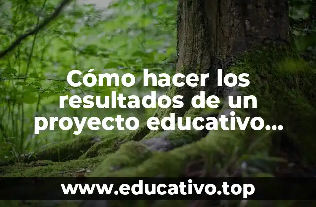 Cómo hacer los resultados de un proyecto educativo ejemplo
