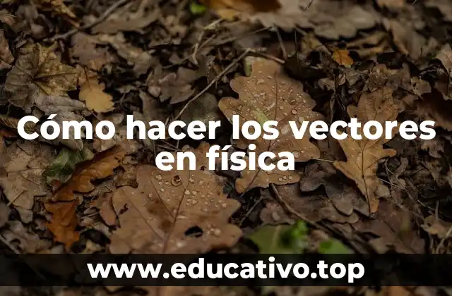 Cómo hacer los vectores en física