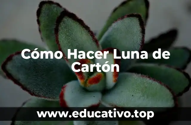 Cómo Hacer Luna de Cartón