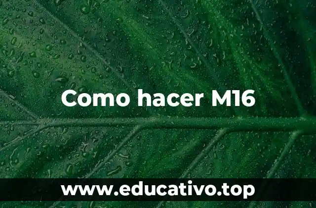 Como hacer M16