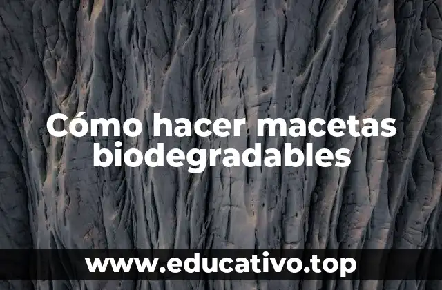 Cómo hacer macetas biodegradables