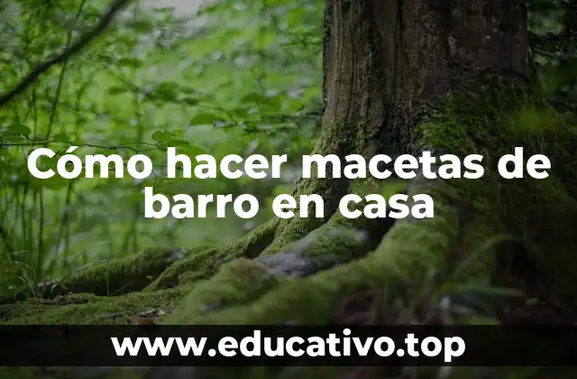 Cómo hacer macetas de barro en casa