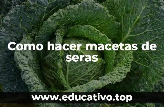 Como hacer macetas de seras