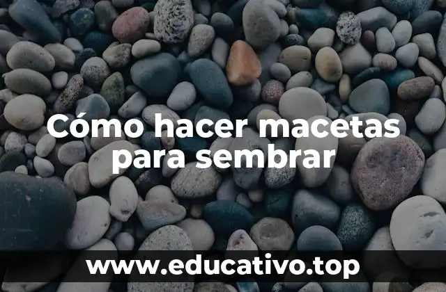 Cómo hacer macetas para sembrar