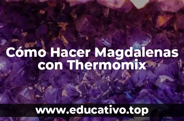 Cómo Hacer Magdalenas con Thermomix
