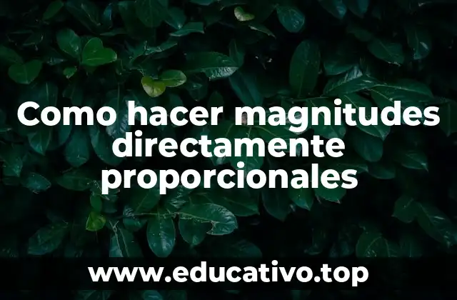 Como hacer magnitudes directamente proporcionales
