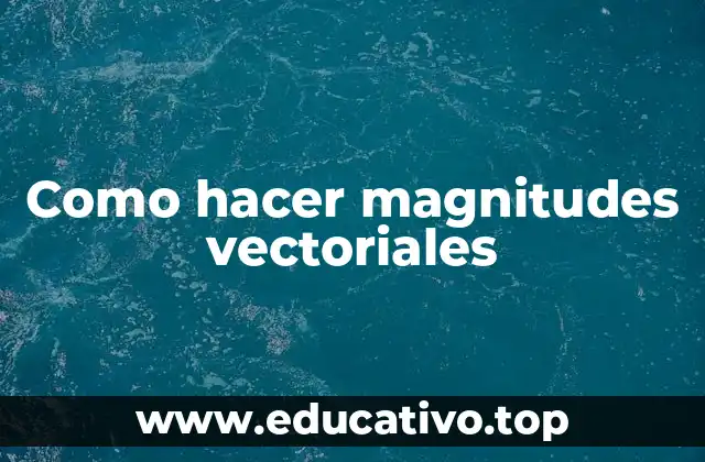 Como hacer magnitudes vectoriales