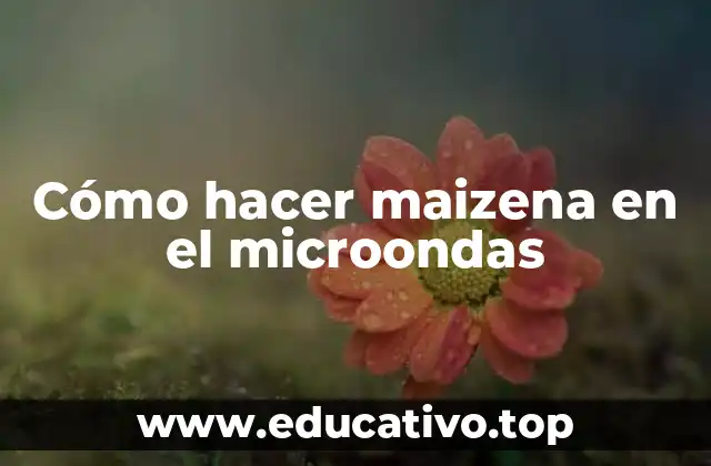 Cómo hacer maizena en el microondas