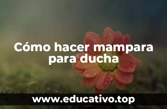 Cómo hacer mampara para ducha
