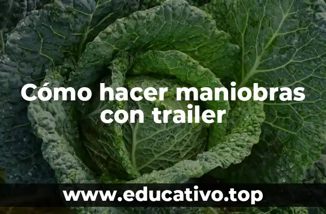 Cómo hacer maniobras con trailer