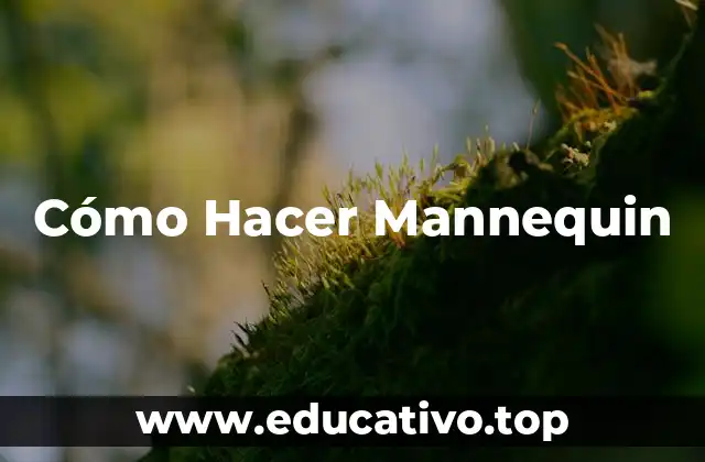 Cómo Hacer Mannequin