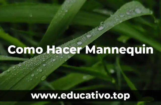 Como Hacer Mannequin