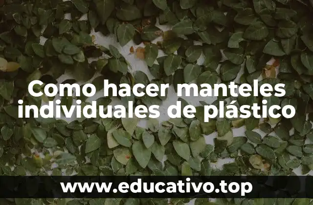 Como hacer manteles individuales de plástico