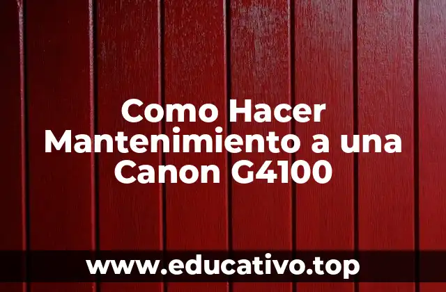 Como Hacer Mantenimiento a una Canon G4100