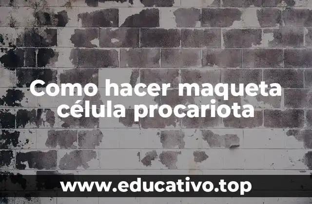 Como hacer maqueta célula procariota