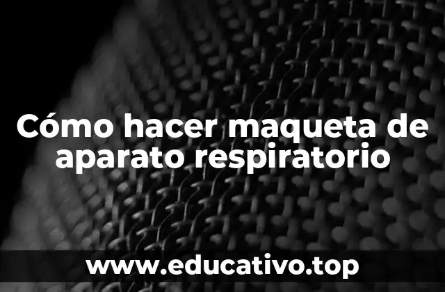 Cómo hacer maqueta de aparato respiratorio