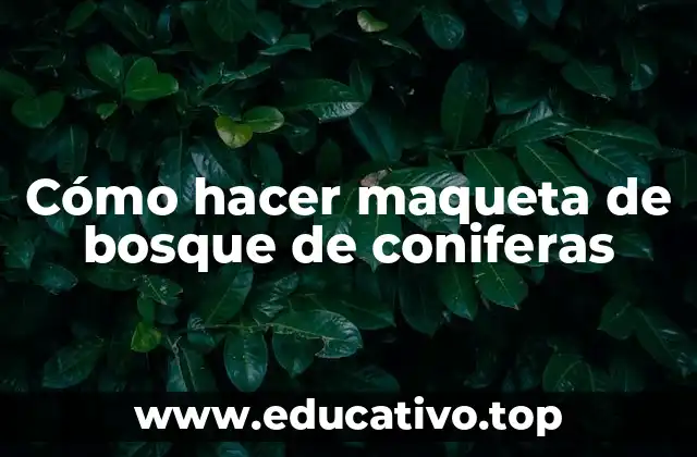 Cómo hacer maqueta de bosque de coniferas