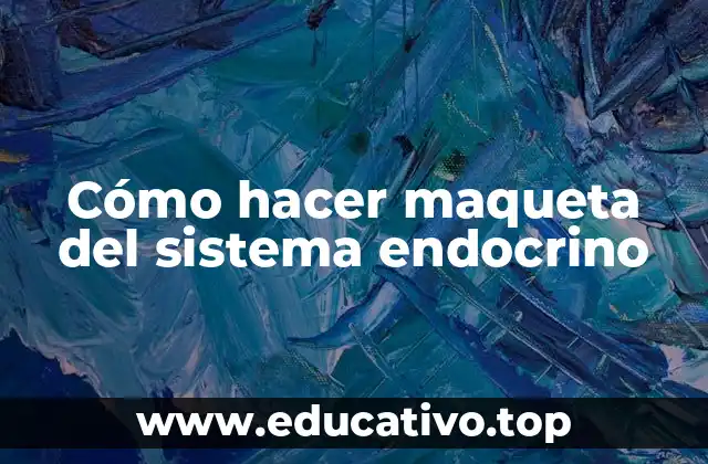 Cómo hacer maqueta del sistema endocrino