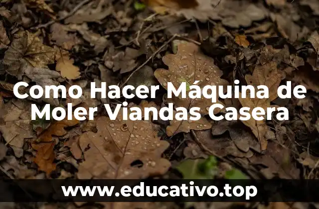 ¿Qué es una Máquina de Moler Viandas Casera?