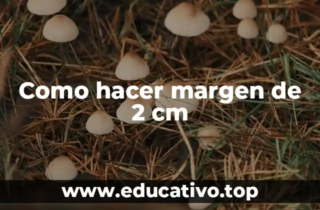 Como hacer margen de 2 cm