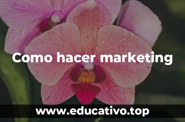 Como hacer marketing
