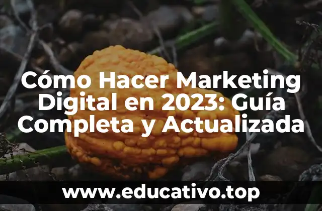 Cómo Hacer Marketing Digital en 2023: Guía Completa y Actualizada