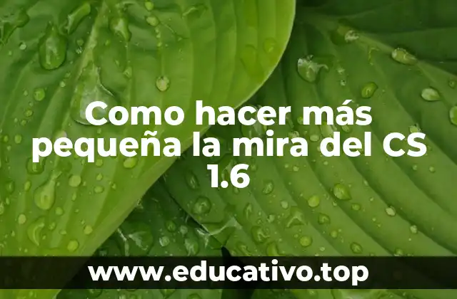 Como hacer más pequeña la mira del CS 1.6