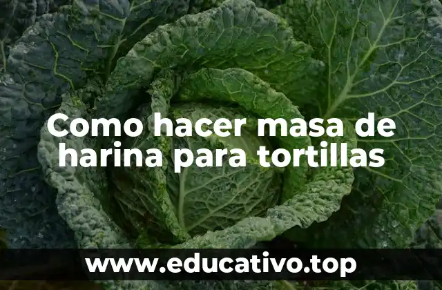 Como hacer masa de harina para tortillas