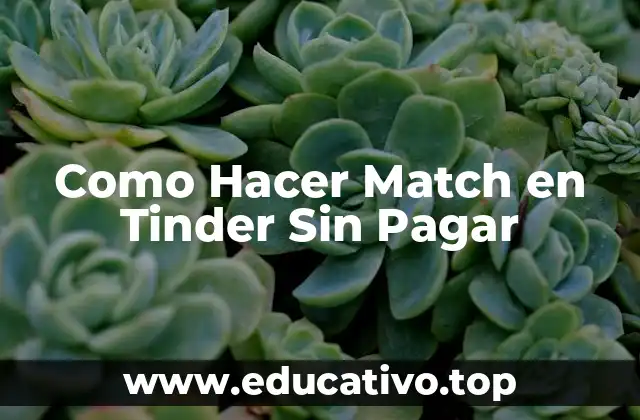 Como Hacer Match en Tinder Sin Pagar