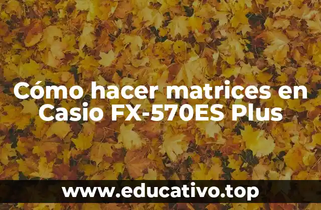 Cómo hacer matrices en Casio FX-570ES Plus