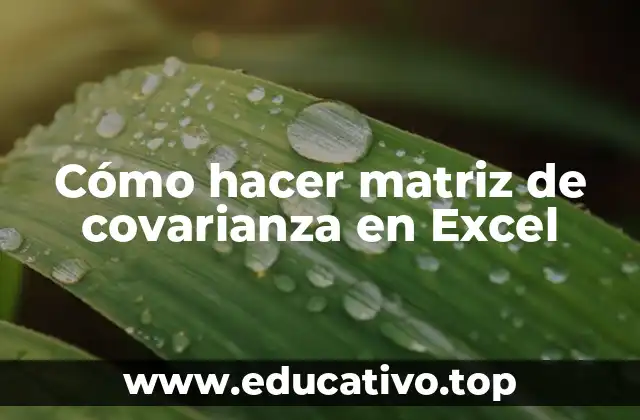 Cómo hacer matriz de covarianza en Excel