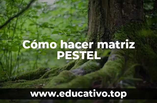 Cómo hacer matriz PESTEL