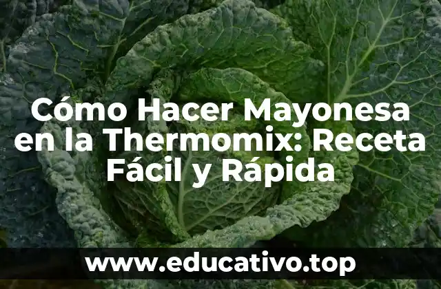 Cómo Hacer Mayonesa en la Thermomix: Receta Fácil y Rápida