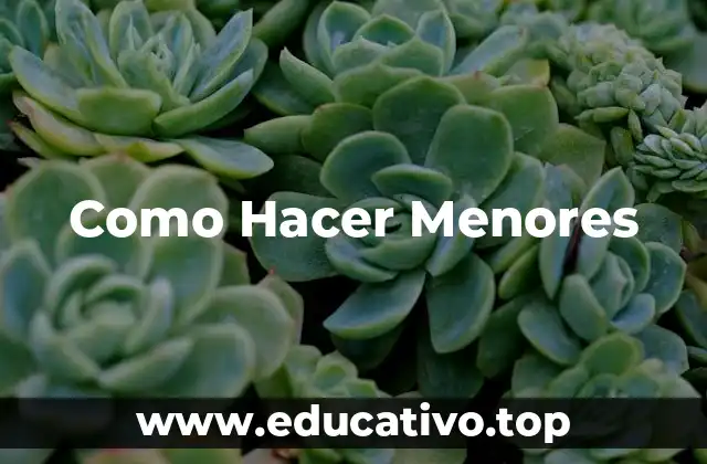 Como Hacer Menores
