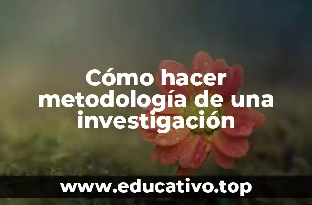 Cómo hacer metodología de una investigación