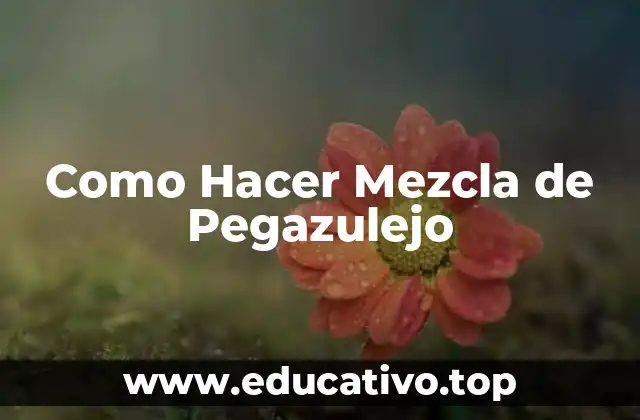 Como Hacer Mezcla de Pegazulejo