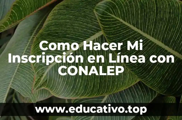 Como Hacer Mi Inscripción en Línea con CONALEP